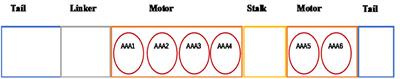 De Novo Variants in the DYNC1H1 Gene Associated With Infantile Spasms